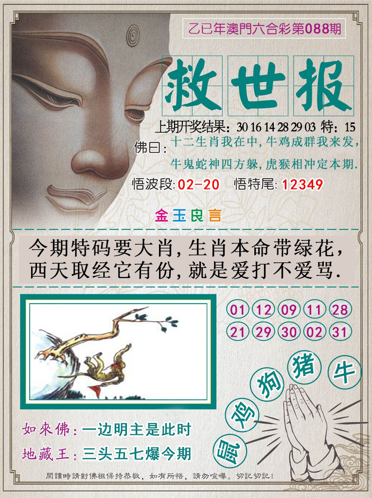 2025088期救世报