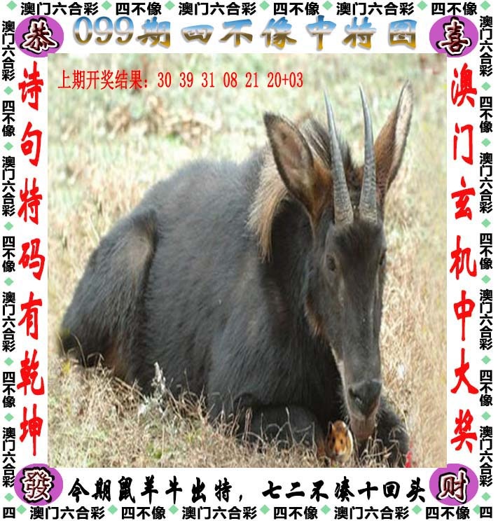 2025099期四不像