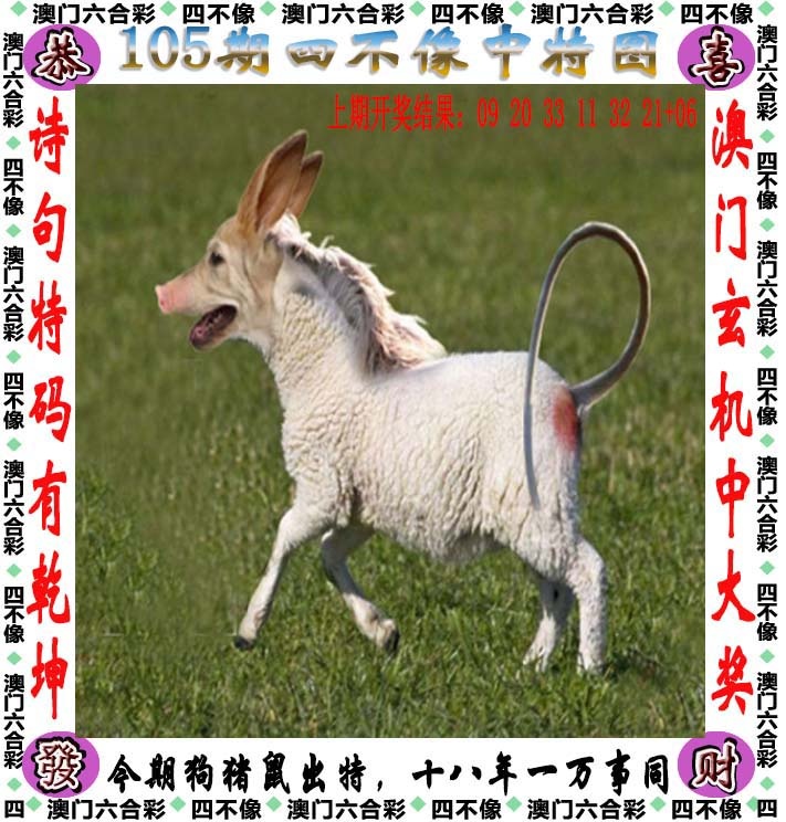 2025105期四不像
