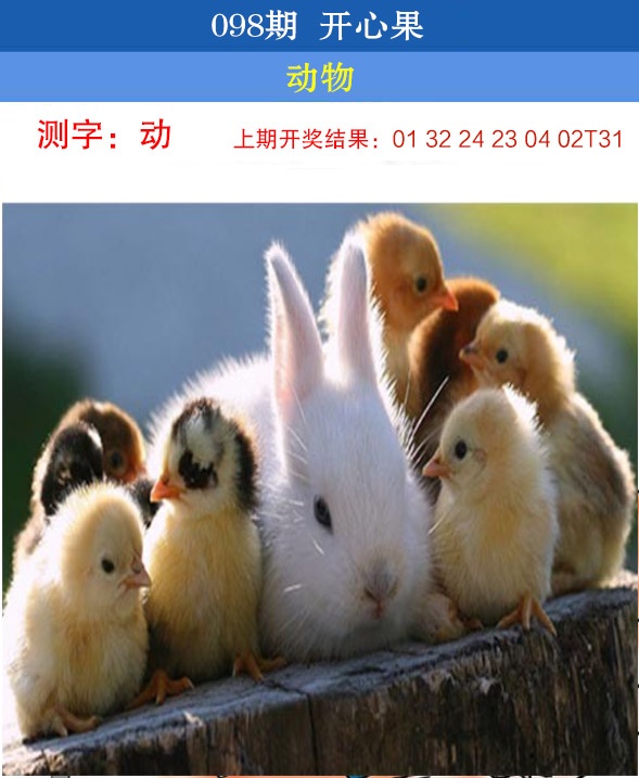 2025098期开心果