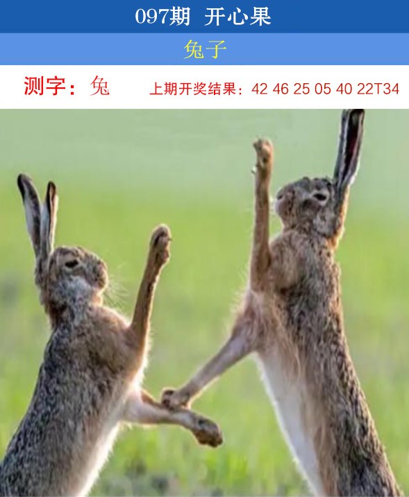 2025097期开心果