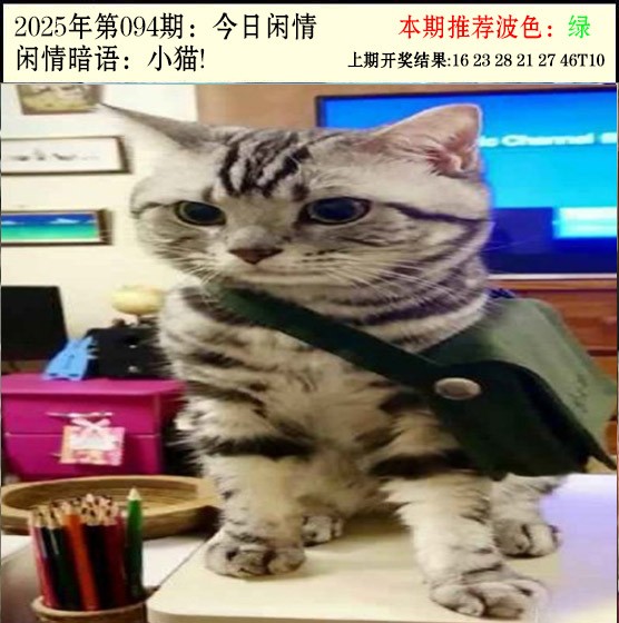 2025094期今日闲情2