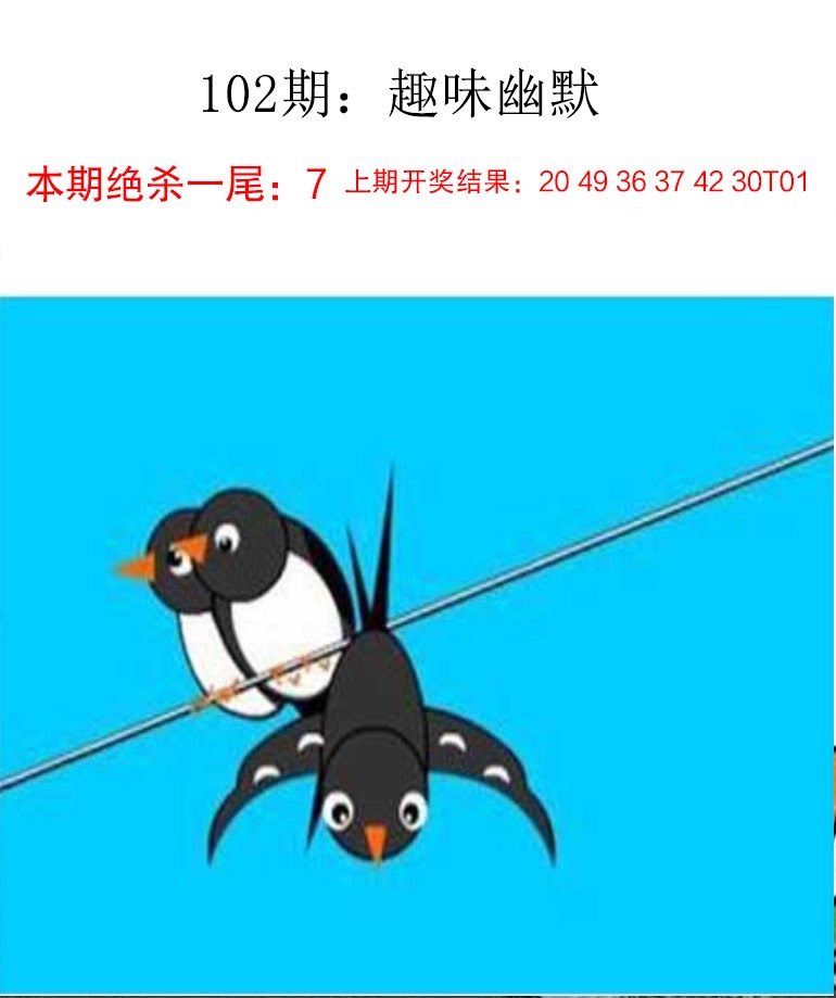 2025102期趣味幽默