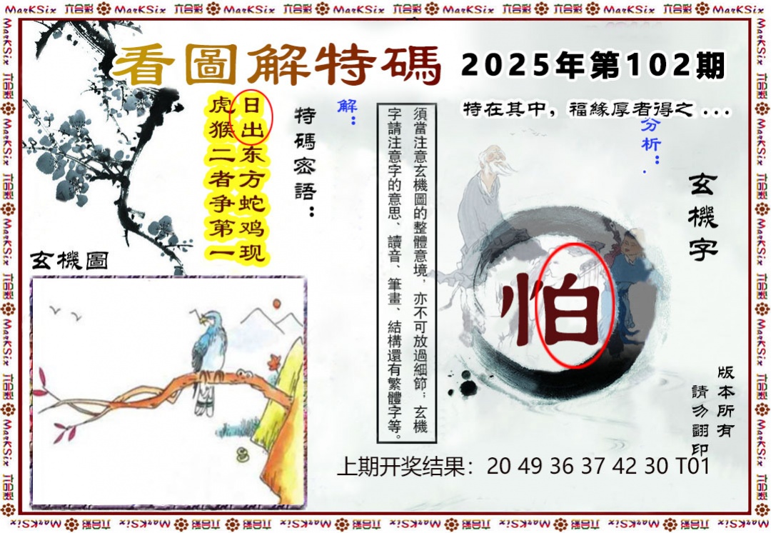 2025102期看图解特码