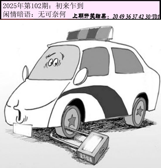2025102期今日闲情