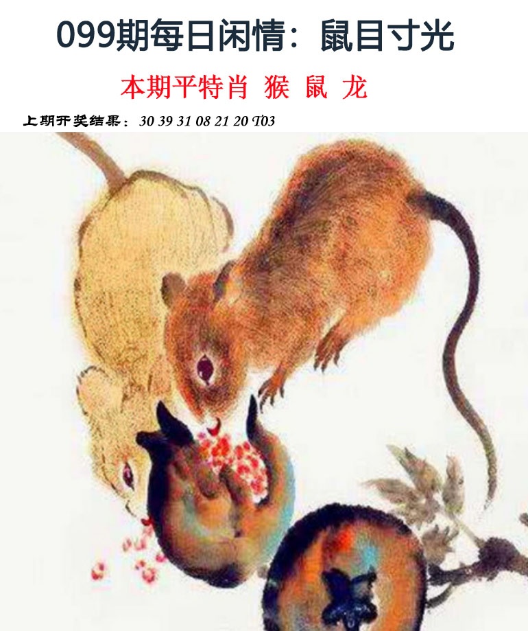 2025099期每日闲情