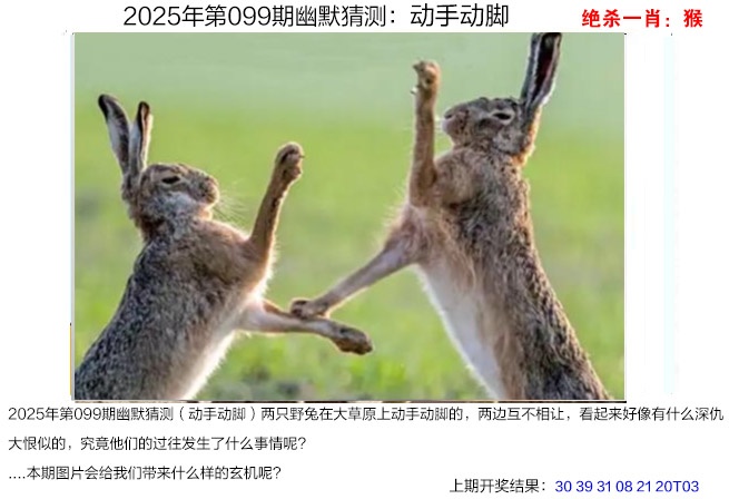 2025099期幽默猜测