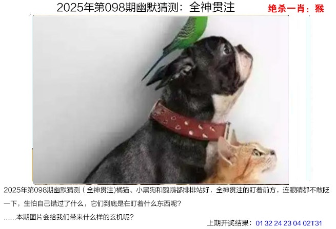 2025098期幽默猜测