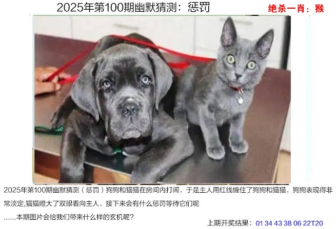 2025100期幽默猜测