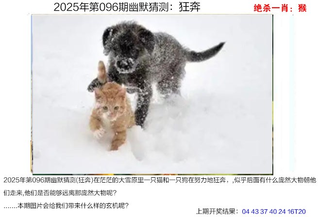 2025096期幽默猜测
