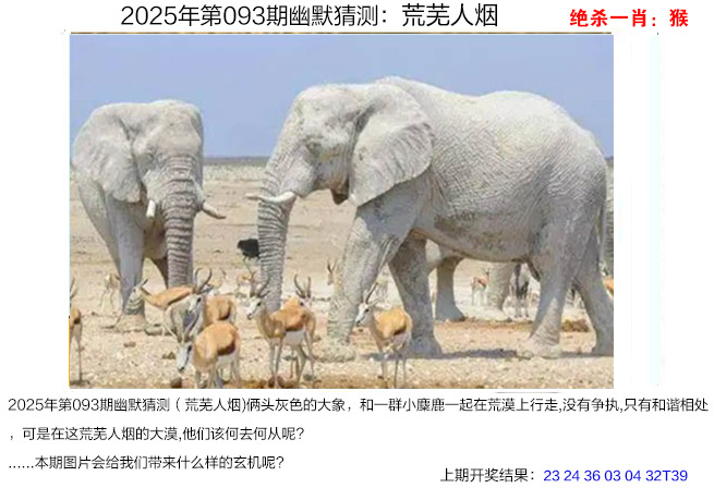 2025093期幽默猜测