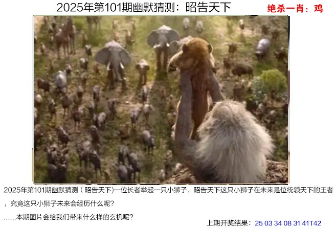 2025101期幽默猜测