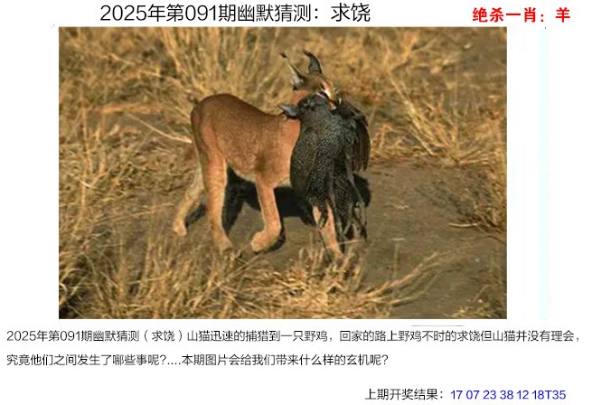 2025091期幽默猜测