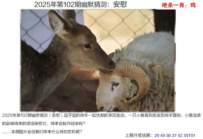 2025102期幽默猜测
