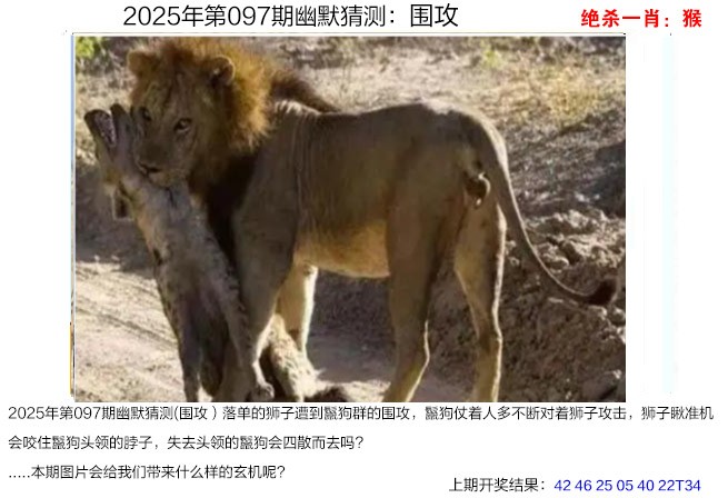 2025097期幽默猜测
