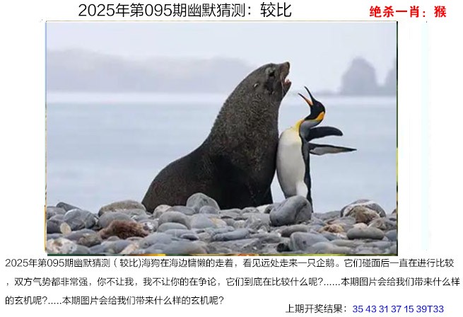 2025095期幽默猜测
