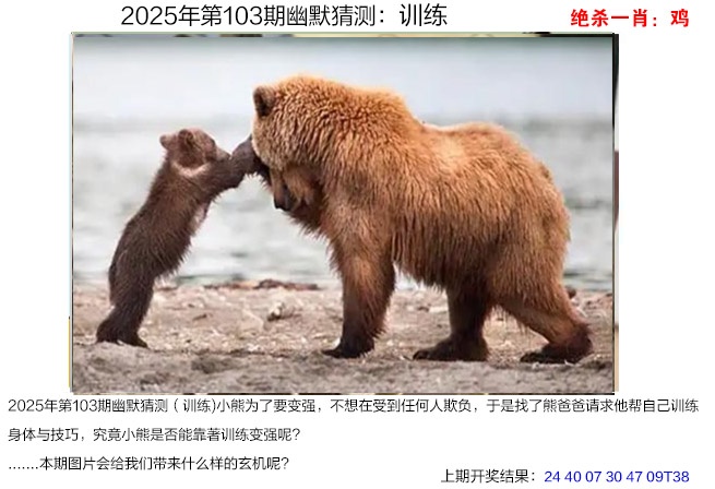 2025103期幽默猜测