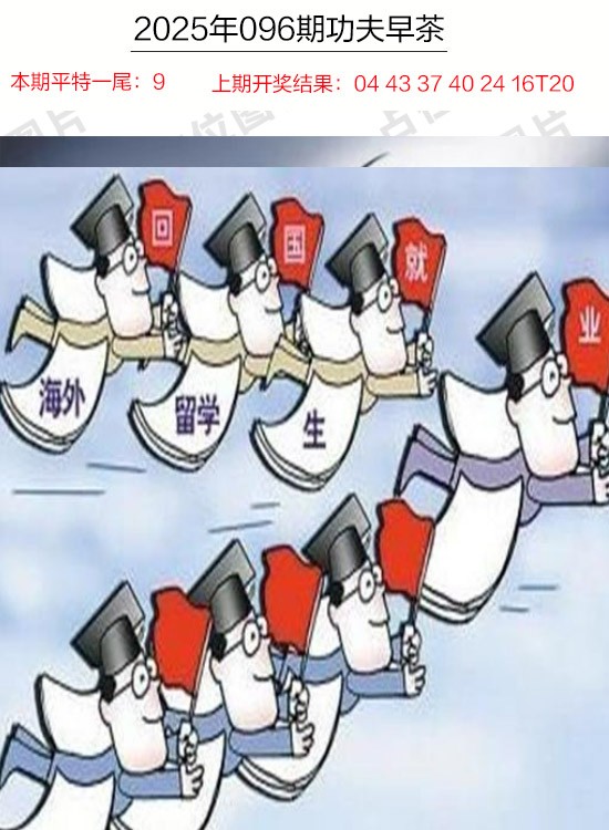 2025096期功夫早茶