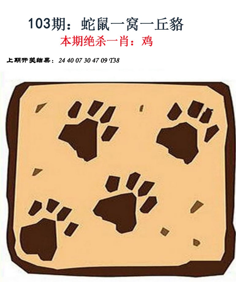 2025103期金钱豹自有真功夫