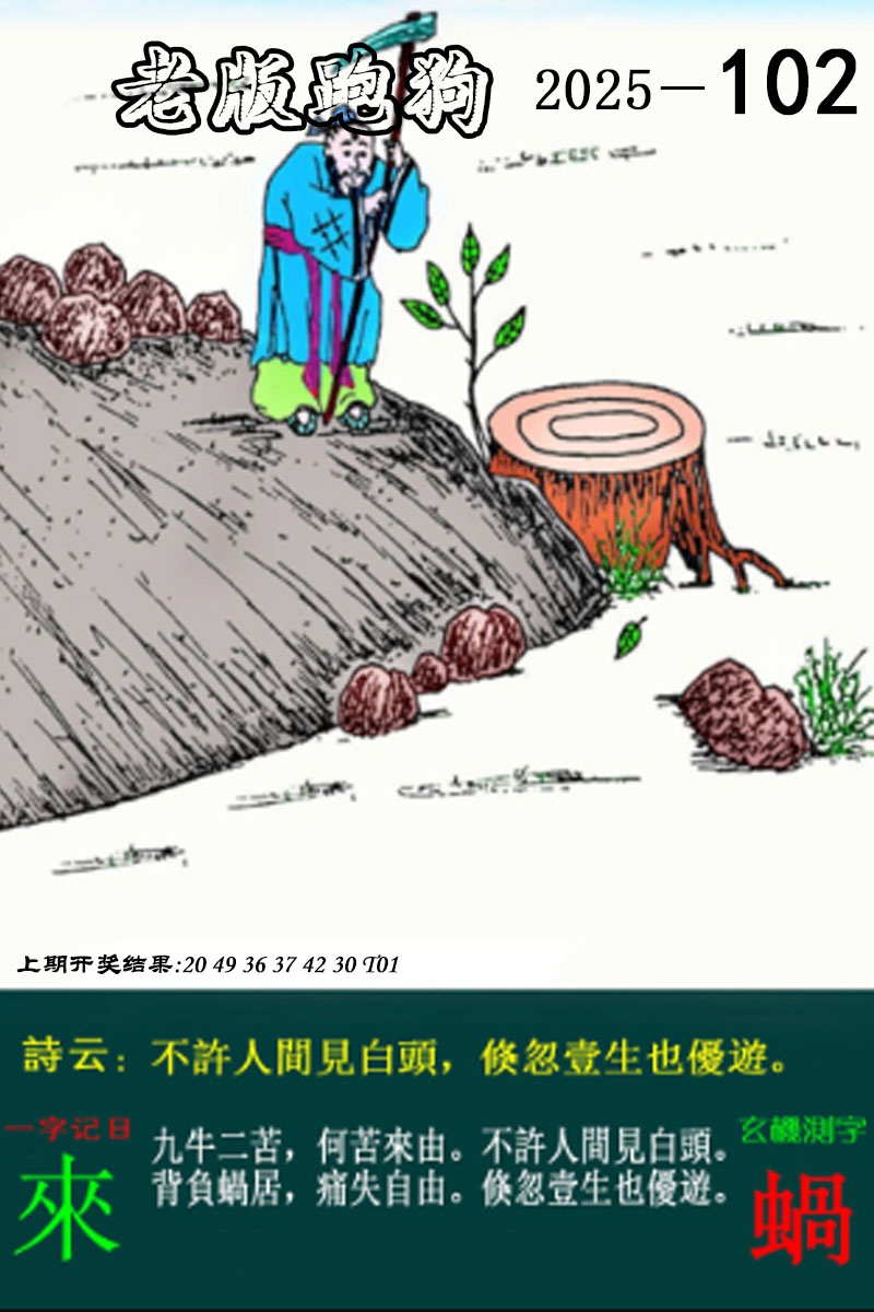 2025102期老版跑狗图