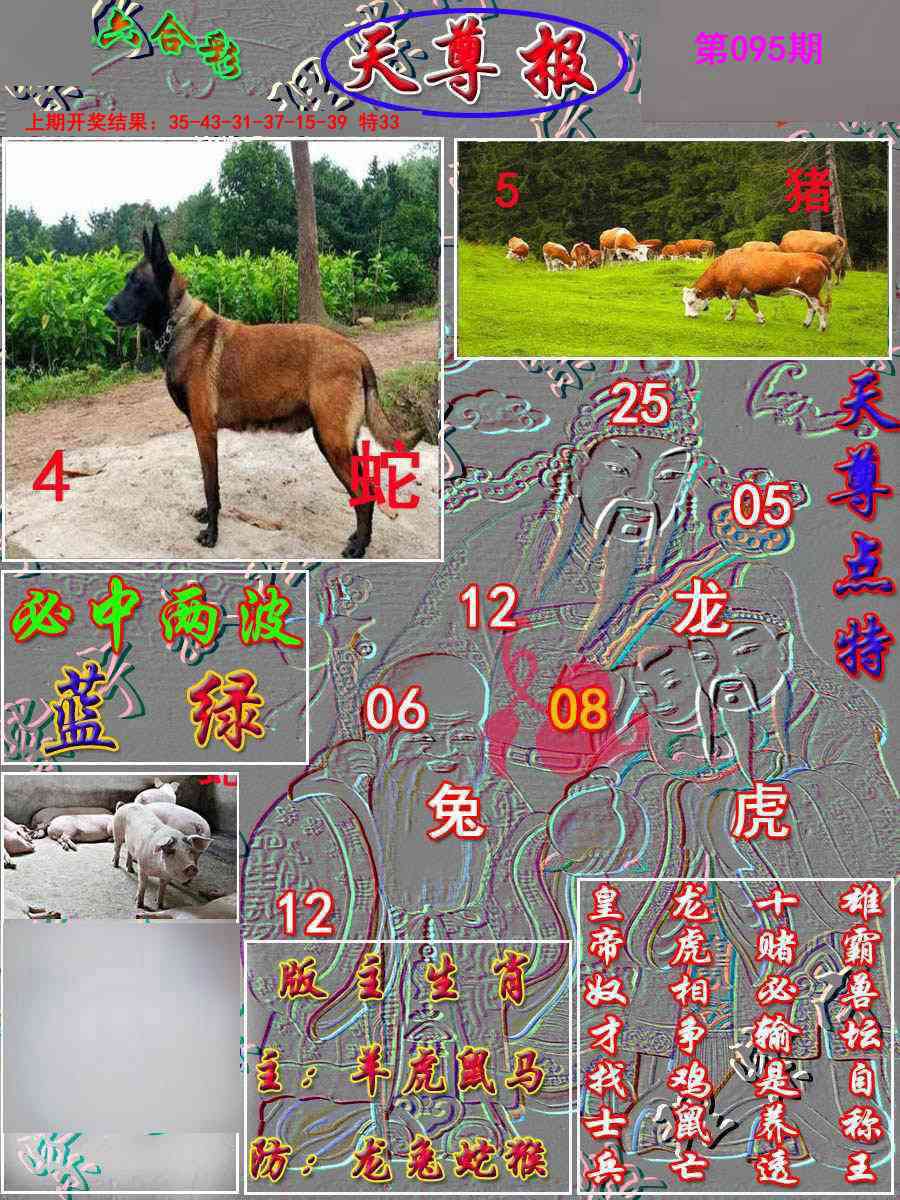 2025095期天尊报
