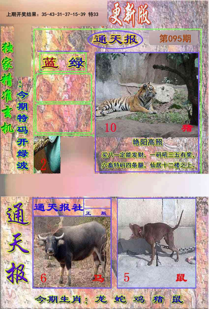 2025095期新通报