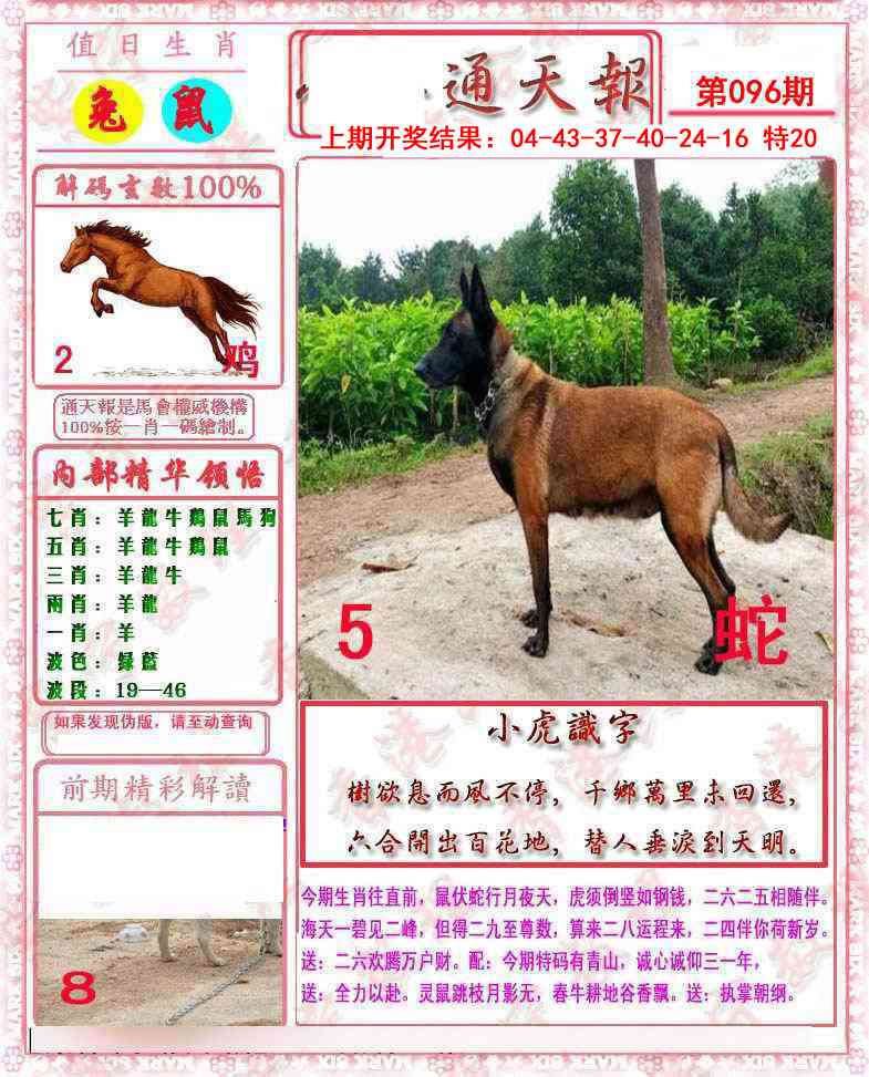 2025096期马经通天报