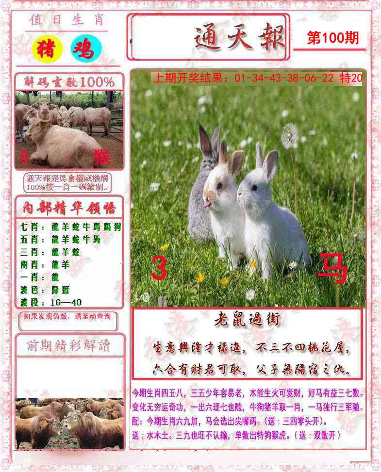 2025100期马经通天报