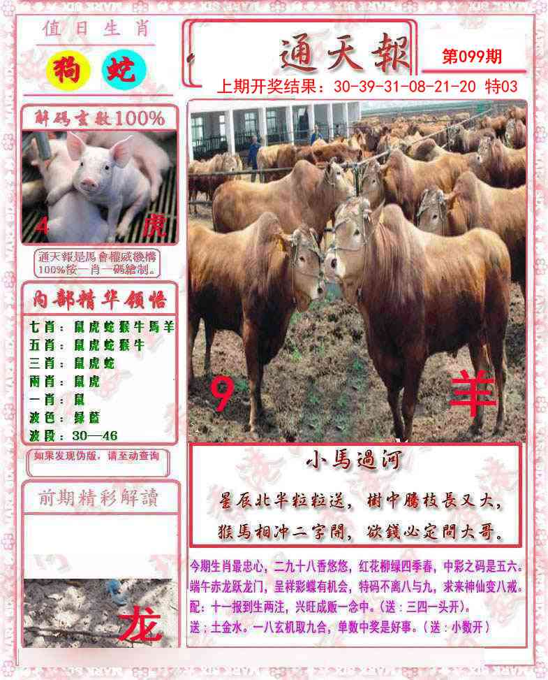 2025099期马经通天报