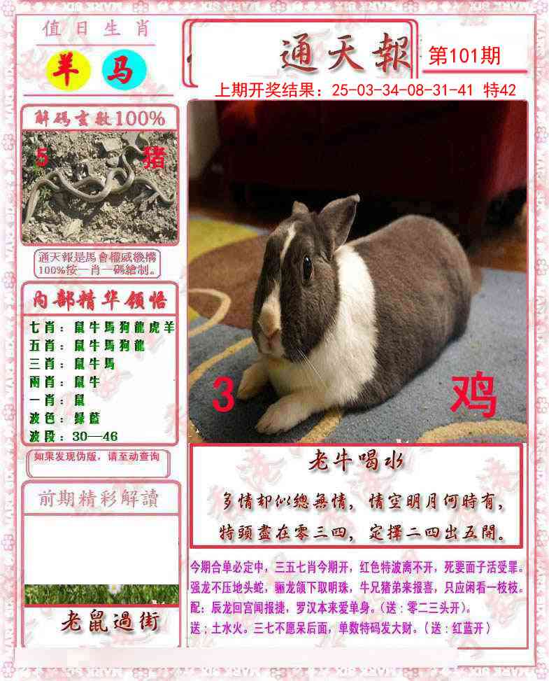 2025101期马经通天报