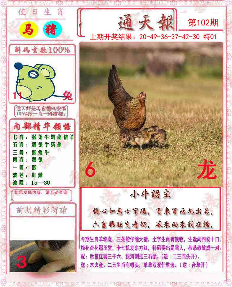 2025102期马经通天报