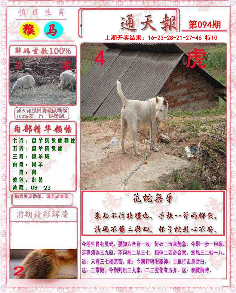 2025094期马经通天报