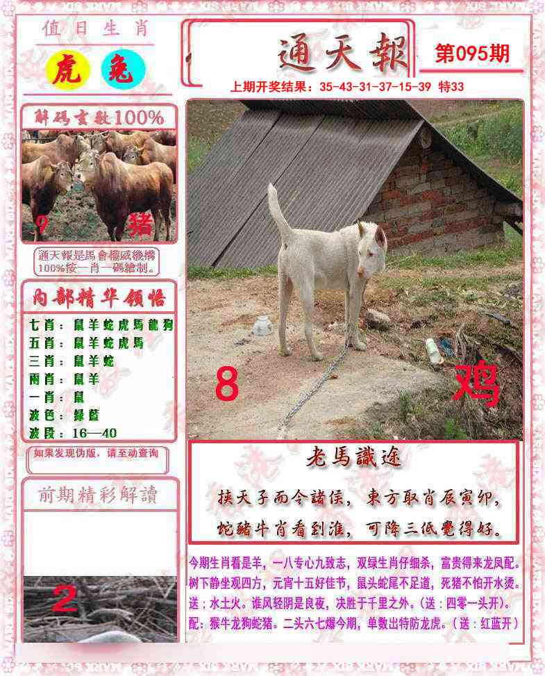 2025095期马经通天报