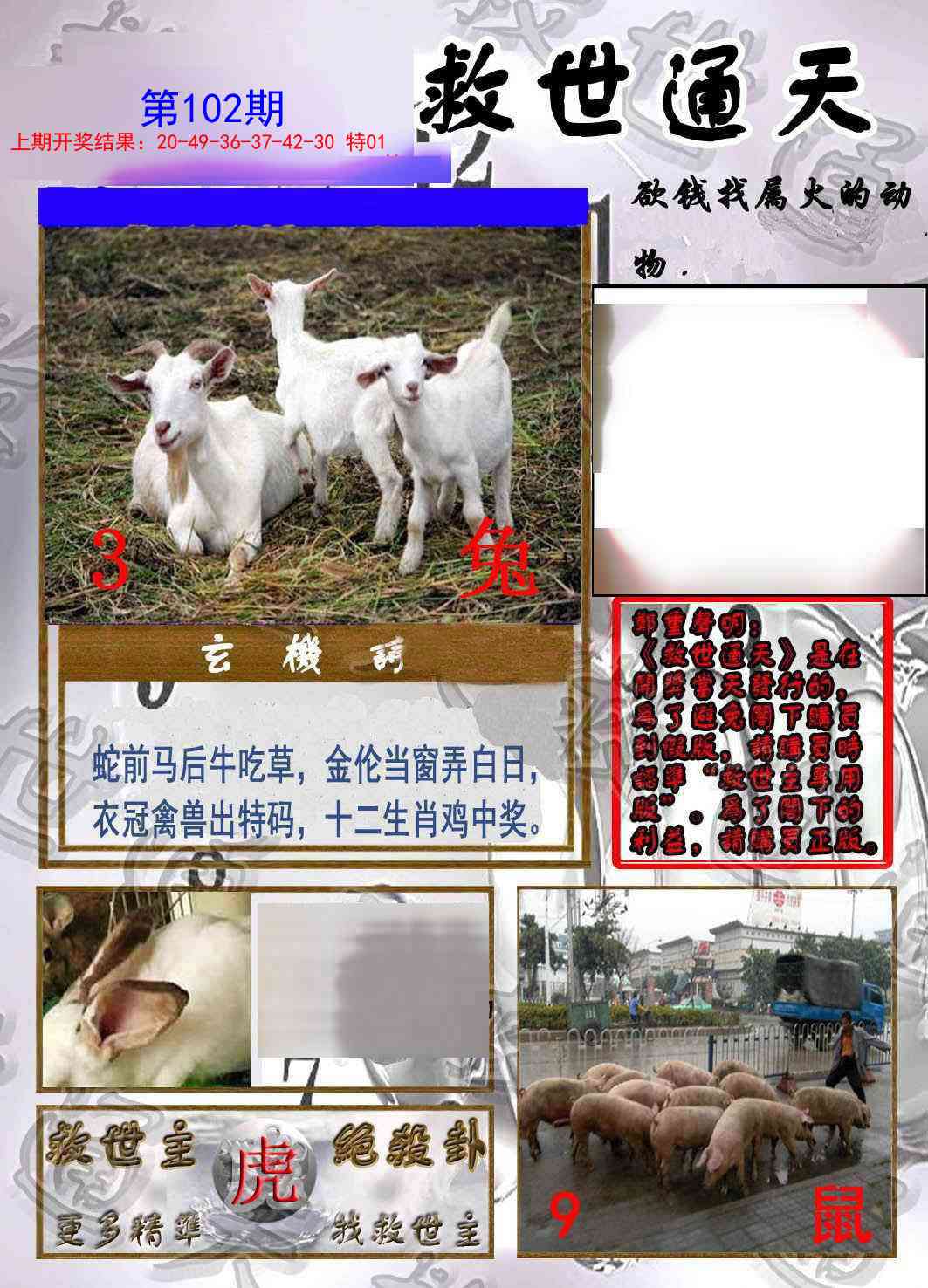 2025102期救世通天报