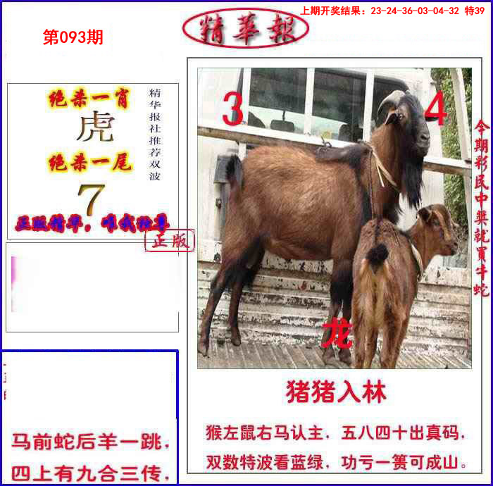 2025093期新精华报报