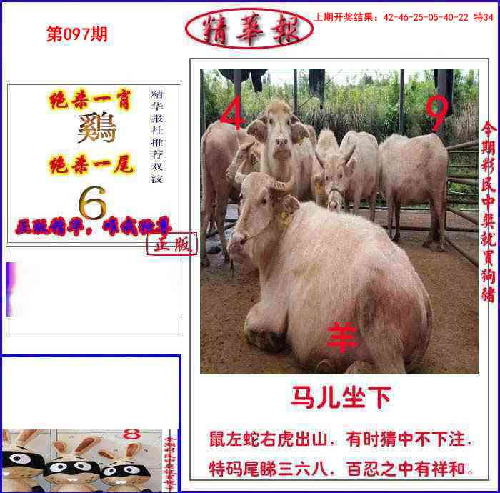 2025097期新精华报报