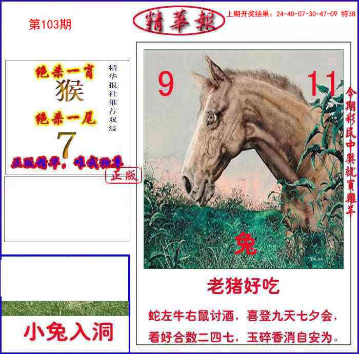 2025103期新精华报报