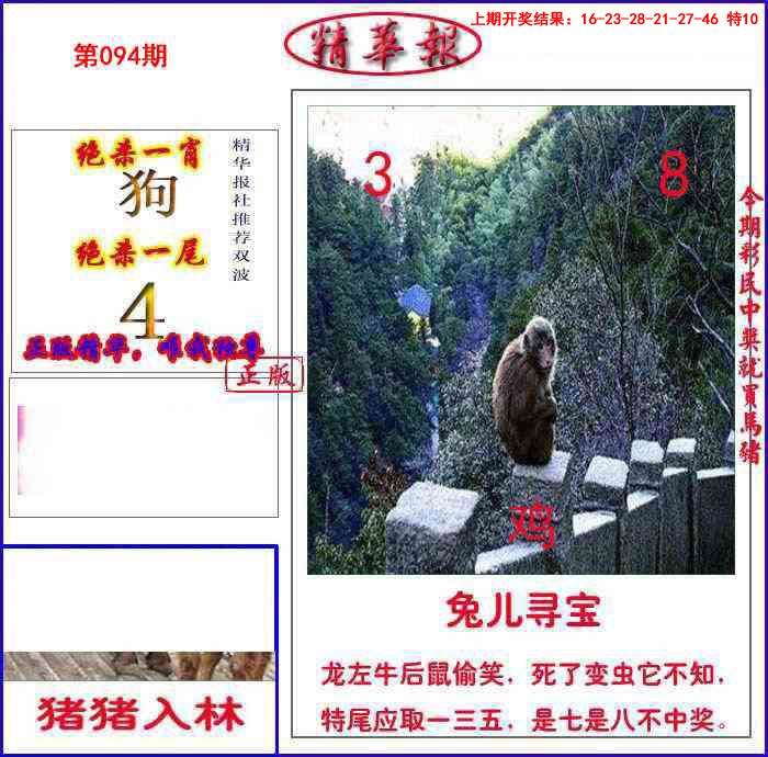 2025094期新精华报报