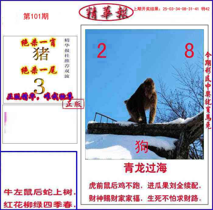 2025101期新精华报报