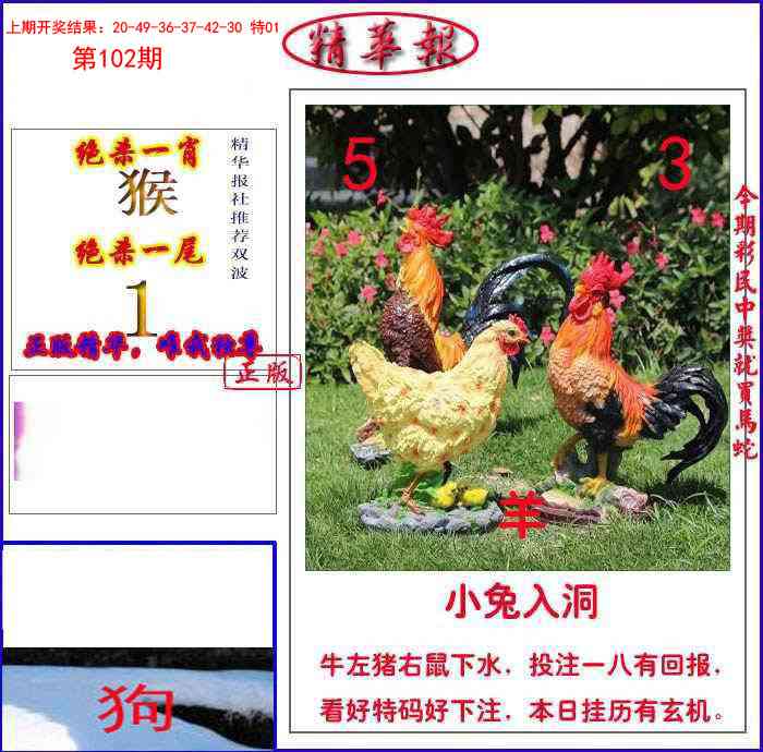 2025102期新精华报报