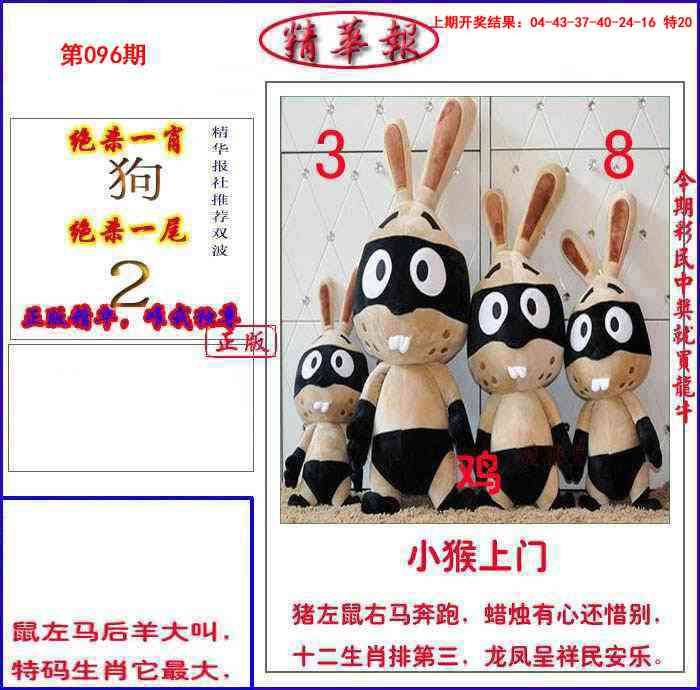 2025096期新精华报报