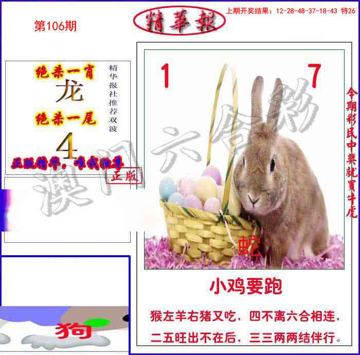 2025106期新精华报报