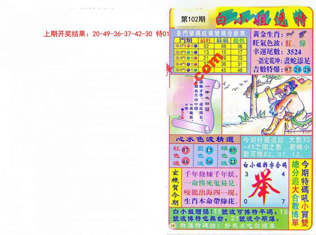 2025102期白小姐透特