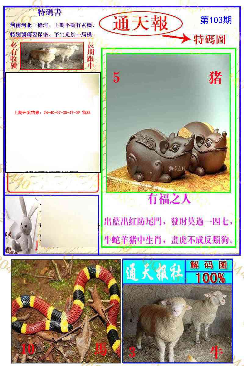 2025103期通天特解图