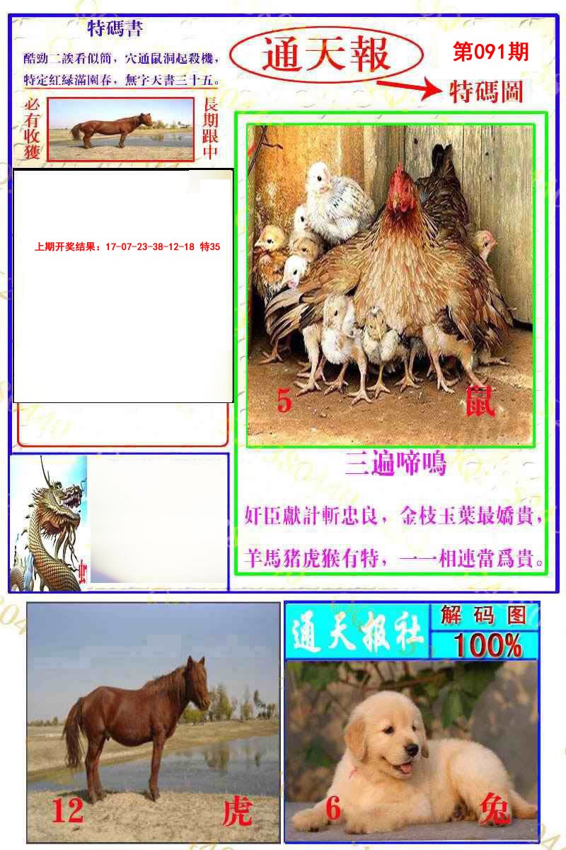 2025091期通天特解图