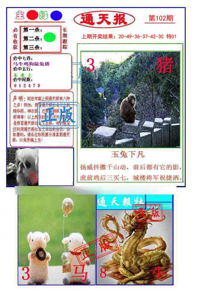 2025102期通天杀波图1