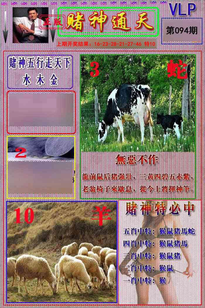 2025094期赌神通天报