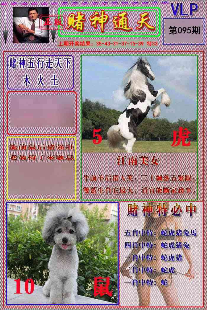 2025095期赌神通天报