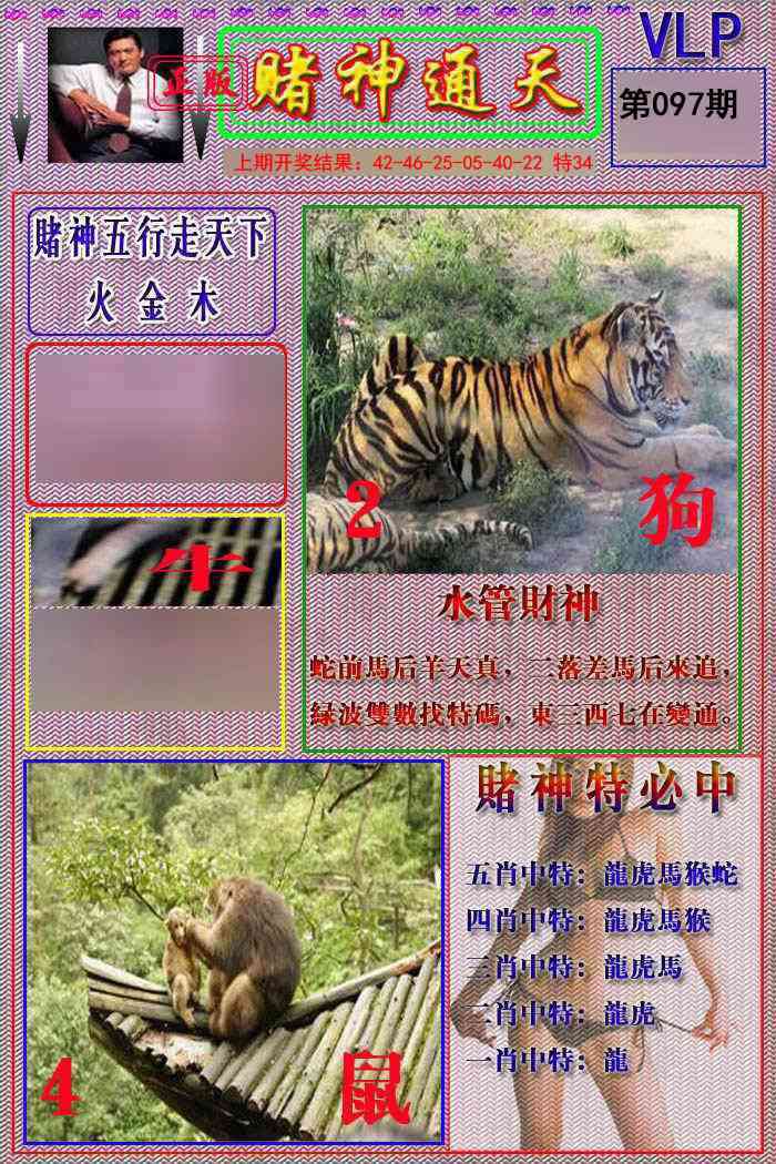 2025097期赌神通天报