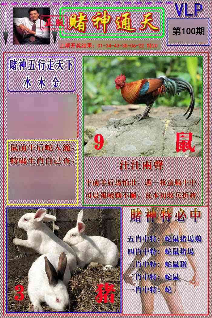 2025100期赌神通天报